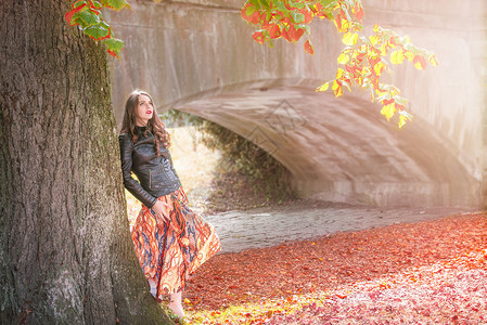 美丽的女孩靠在树上有多彩的叶子仰望着享受秋天的氛围在舒瓦比舍大厅德意志图片