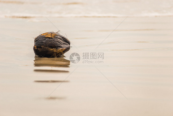 旧的被宠坏椰子躺在海边的沙子上图片