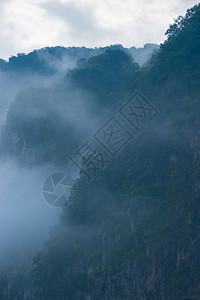 覆盖着森林的悬崖被厚白雾笼罩图片