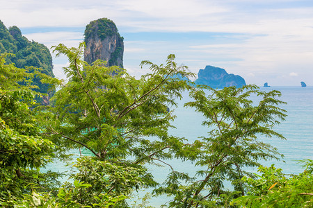 树的宽阔照耀着埃纳曼海和岩石的景象图片