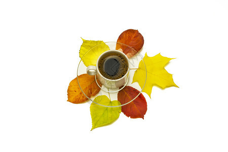 秋叶和一杯咖啡白色背景的碟子图片
