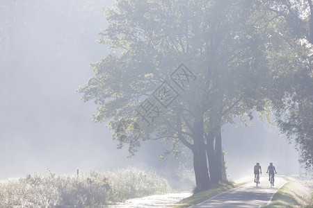 2名骑自行车的手在早晨靠近Uutrechsuvlrg的迷雾下在西北地带的乡村公路上骑着2辆自行车图片