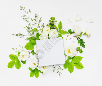 由白纸卡和色野玫瑰花背景的绿叶组成白色纸卡和野玫瑰花图片