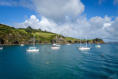 新西兰奥克附近的Waihek岛图片