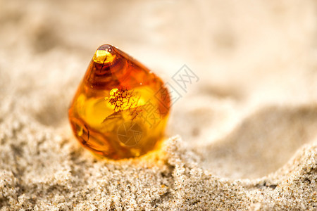 黄麻在海的沙滩上图片