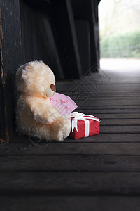 可爱的泰迪熊拿着一个红礼盒带白丝和弓还有一张纸上面写着你想念的字图片