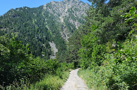 在夏日阳光下穿过山区的森林坡地以观察风景和的遥远山峰和脉图片