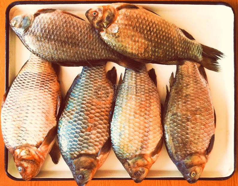 盘子里的鱼顶部风景6条鱼准确的盘子里鱼高清图片下