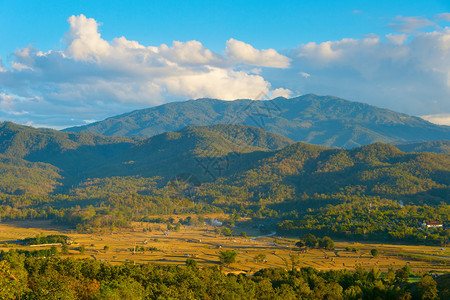 山岳和稻田图片
