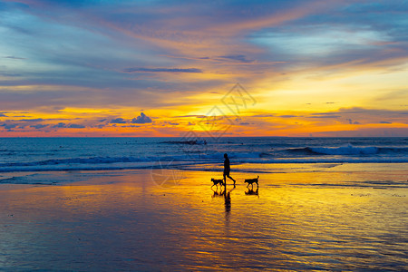 一个男人与狗在海滩上行走的剪影图片