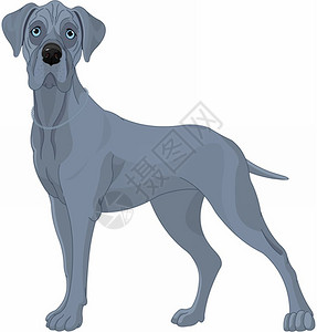 英国查理王小猎犬卡通可爱的狗插画