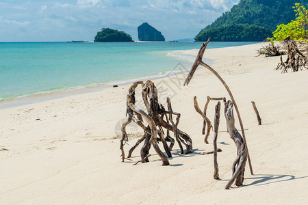沙滩上小岛泰国图片