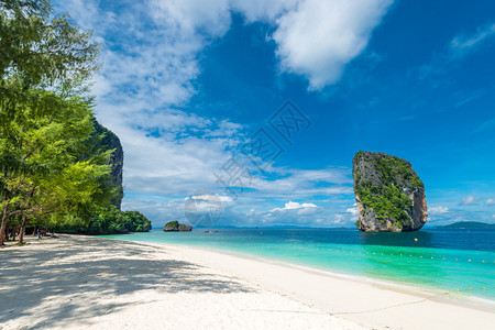 沙滩上树荫下Krabi的照片泰国图片
