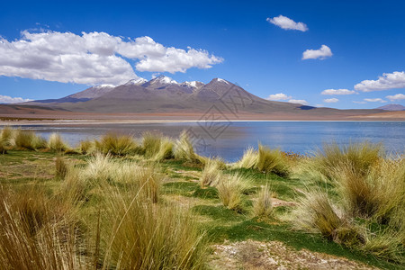 altiplanolaguna位于玻利维亚的sudlipezreservaeduardoavaroaaltiplanolagun图片