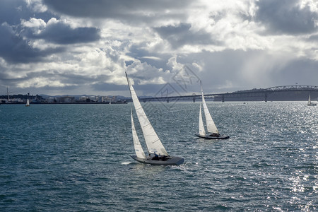 从新西兰奥克兰大桥和市中心的海景和帆船上从奥克兰大桥上俯瞰新西兰的大海和帆船图片