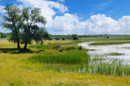 有水生植被和光化草原的老湖图片
