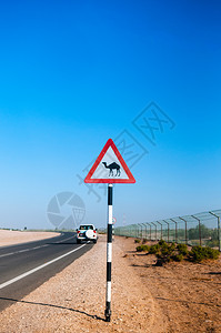 在abudhi沙漠中穿过骆驼街牌图片