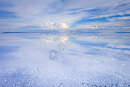 波利图片 波利素材 波利高清图片 摄图网图片下载