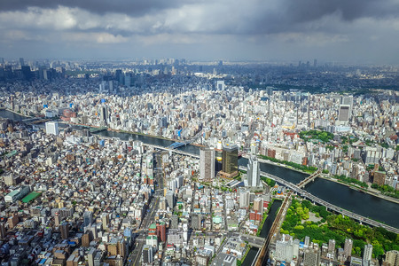 东京市天际空中观测日本图片