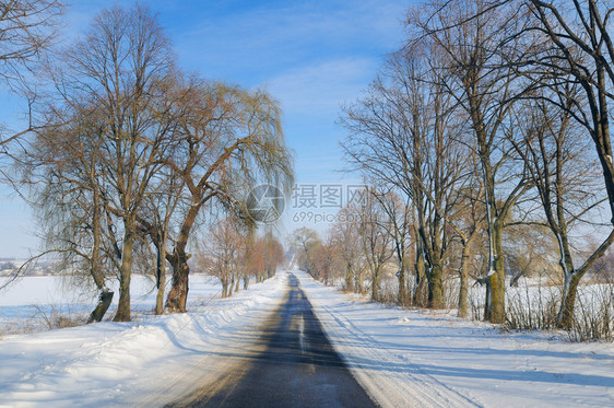 一条穿过雪田和树木的道路图片