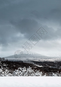 冬季哈科达山的景象图片