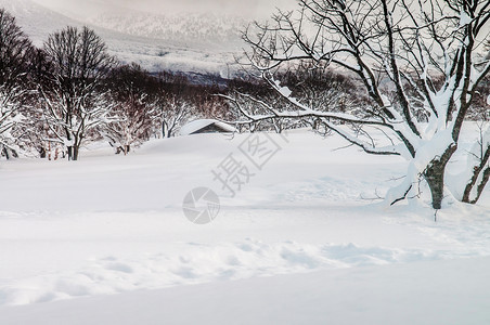 冬天中白雪覆盖了亚潘阿奥莫里哈科达山脚下的土地图片