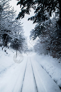 被白雪覆盖的铁路轨道图片
