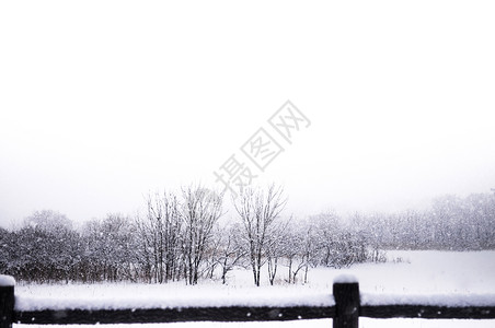 冬天白雪覆盖了阿奥莫里岛的风景图片