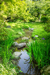 在日本京都的马鲁亚山日本花园的马鲁亚山花园的京都图片