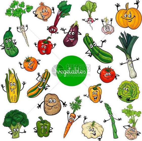 蔬菜漫画插图图片