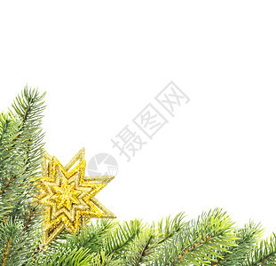 圣诞节构成绿色有fir树枝金星孤立在白色背景上有文字空间图片