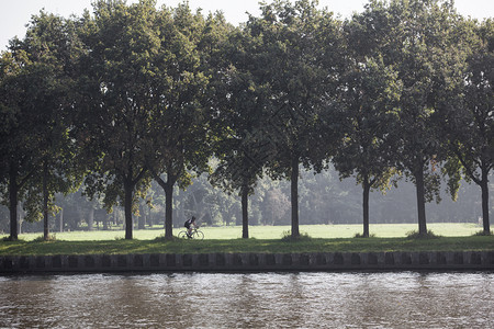 在阳光明媚的夏日在Amsterda和utech之间骑着自行车Amerstdamijn运河的男子图片