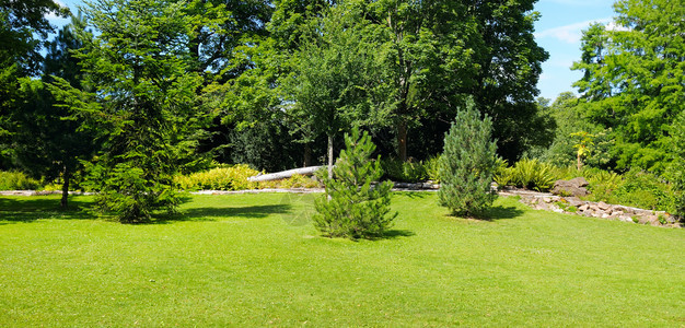 夏季公园绿草地和蓝天全照图片