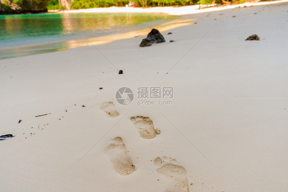 热带特写中湿沙滩上的脚印图片