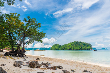 林木海滩阿曼和美丽的山岳在地平线泰兰喀拉比度假胜地图片