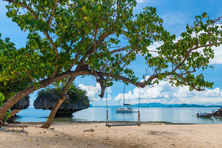 在泰国一个无人居住的岛屿海滩上摇摆一棵树图片