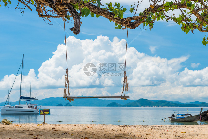 在热带的一棵树上悬崖对海泰兰图片