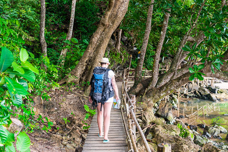 活跃的旅游者在亚述丛林的木条小径上徒步旅行图片
