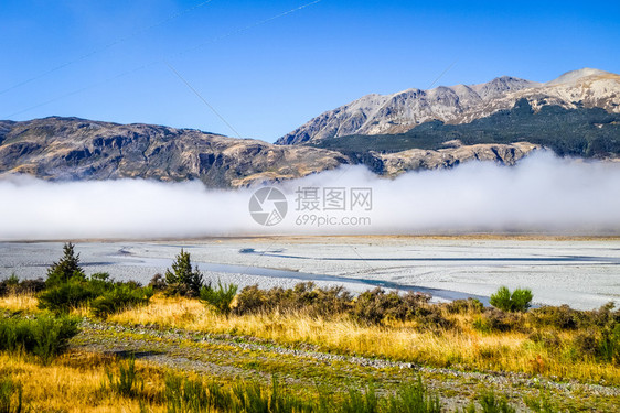 新西兰海藻中的黄森林和河流新西兰山中的黄森林和河流图片