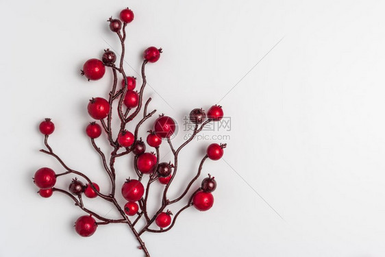红色的莓胡利在白色红的圣诞节装饰品框圣诞节的图像带有复制空间的顶端视图图片