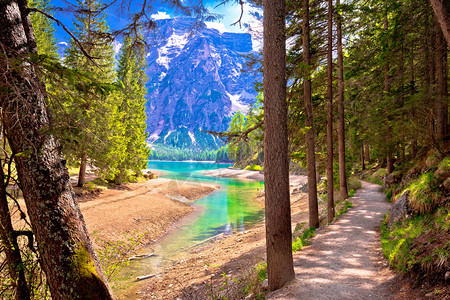 长崎湖边的山高步行道意大利的Trentioaldie地区背景图片