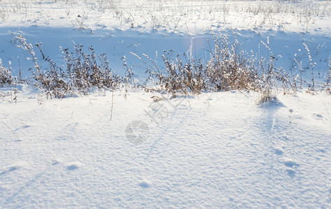 在阳光明媚的冬季日草和干白雪覆盖阳光明媚的冬季日美丽背景背景图片