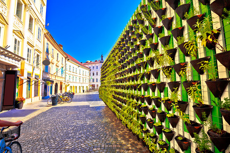 斯洛维尼亚首府卢布尔雅那市中心的绿色生态墙图片