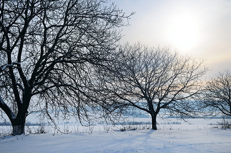 冬天大地被覆盖了厚厚一层的积雪图片