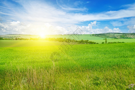 绿色的田野和蓝天空有光云地平线上是明亮的日出农业景观图片