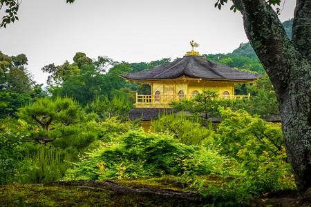 日本京都的金阁寺展馆金阁寺京都日本图片