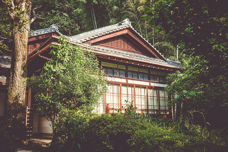 日本京都寺庙花园中的奇昂建筑日本京都寺庙花园中的香椿图片