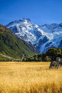 新的西兰泽州高山风景新西兰州高山地景观图片