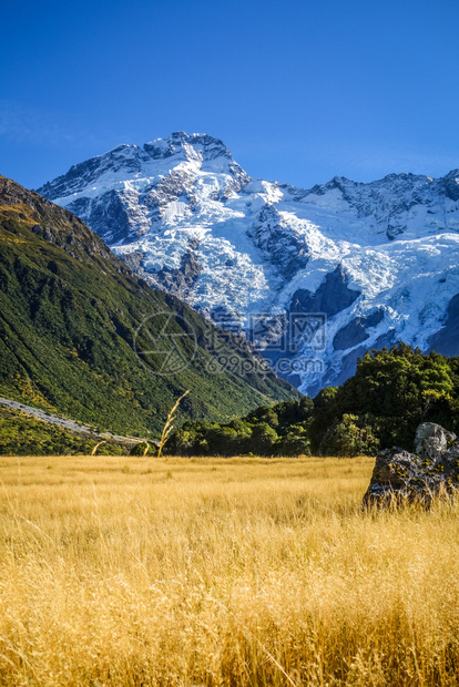 新的西兰泽州高山风景新西兰州高山地景观图片