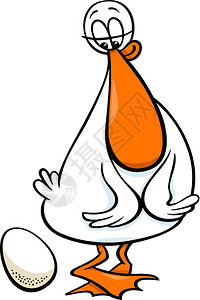 有趣的女鸭养鸟和鸡蛋的动物格漫画插图图片